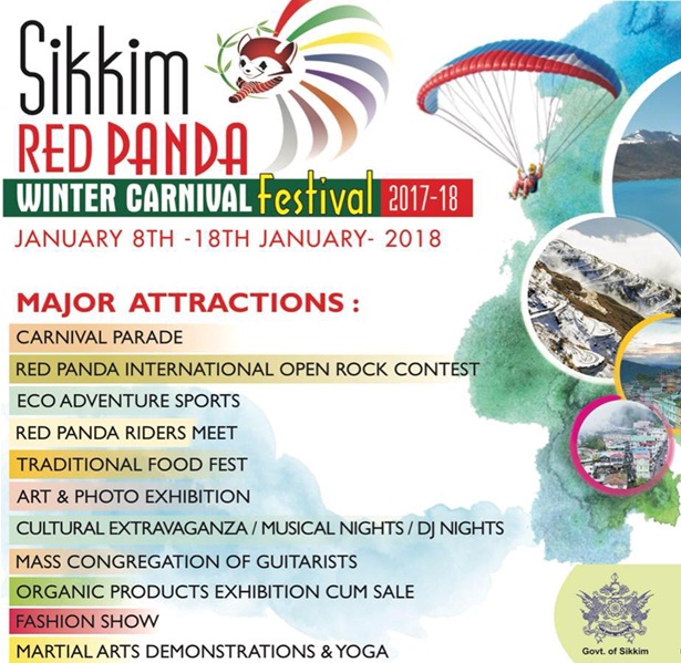 red panda winter carnival